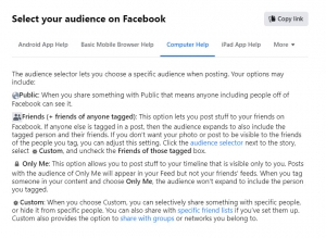 Visibly Media Facebook select your default audience